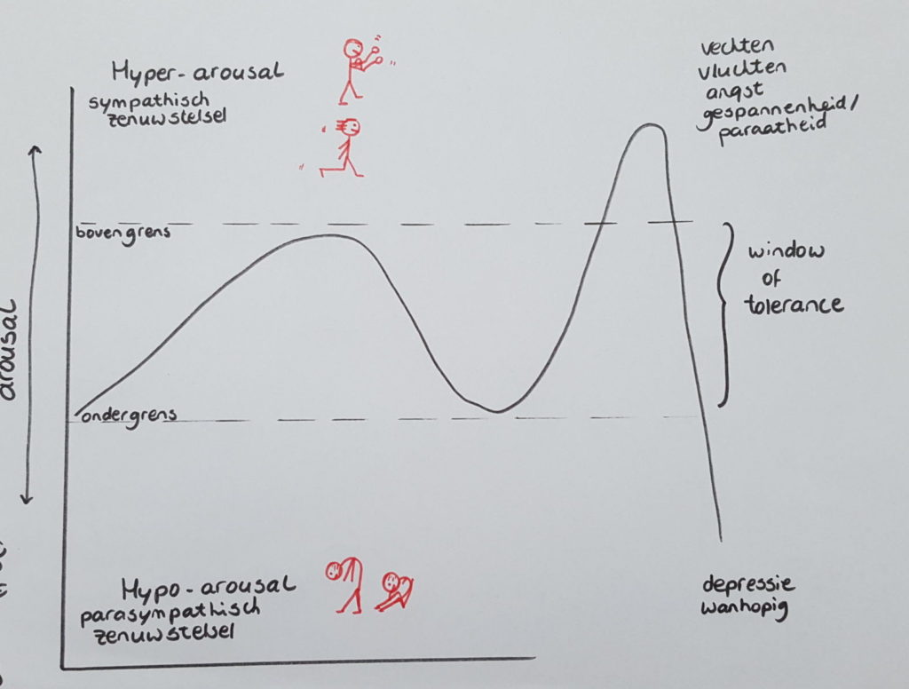 Window of tolerance uitleg over hyperarousal en hypoarousal Het Ware Zelf in Zicht